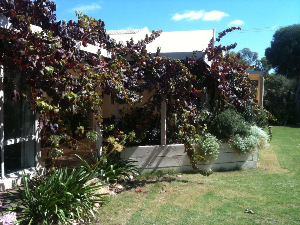 Bellevue Bed & Breakfast Bed & Breakfast Mclaren Vale Exterior photo